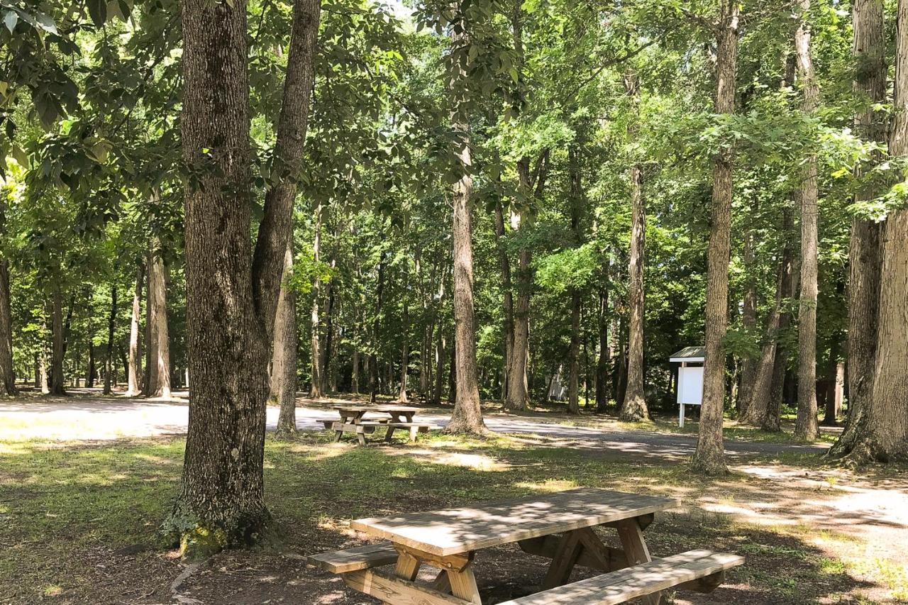 A Tale Of Tranquility Βίλα Ocean Pines Εξωτερικό φωτογραφία